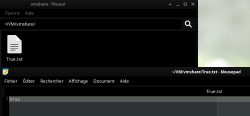 Depuis l'hôte : Vue de l'Explorateur de Fichiers du fichier True.txt