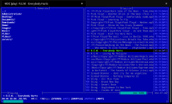 Capture d'écran du logiciel mocp en cours de fonctionnement