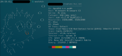 Neofetch vue OpenBSD 6.6